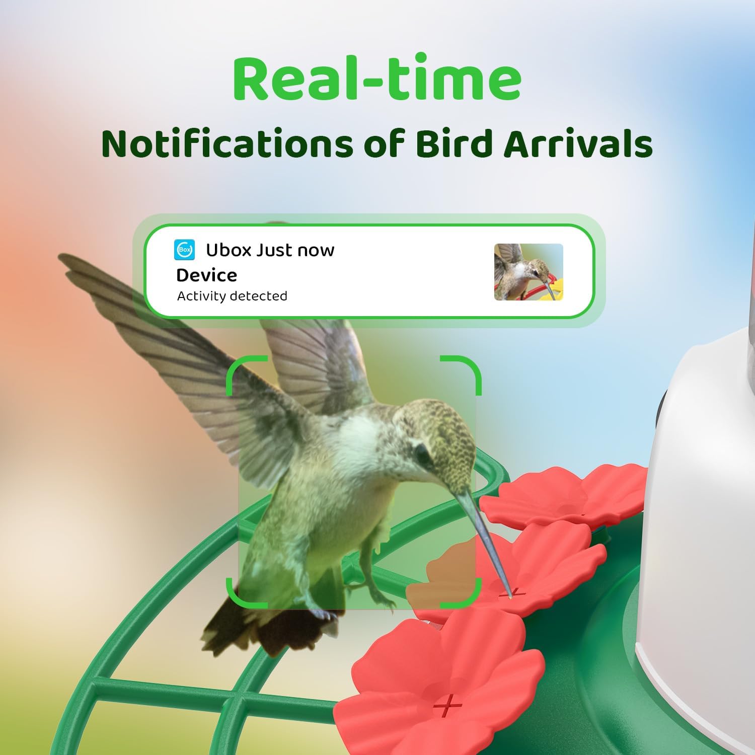 SEHMUA Hummingbird Feeder with Camera, 1 Year Trial AI Identify Birds Species, Smart Bird Cam with Solar Panel, Ant Moat & Bee Proof, Gift for Bird Watching - Image 3