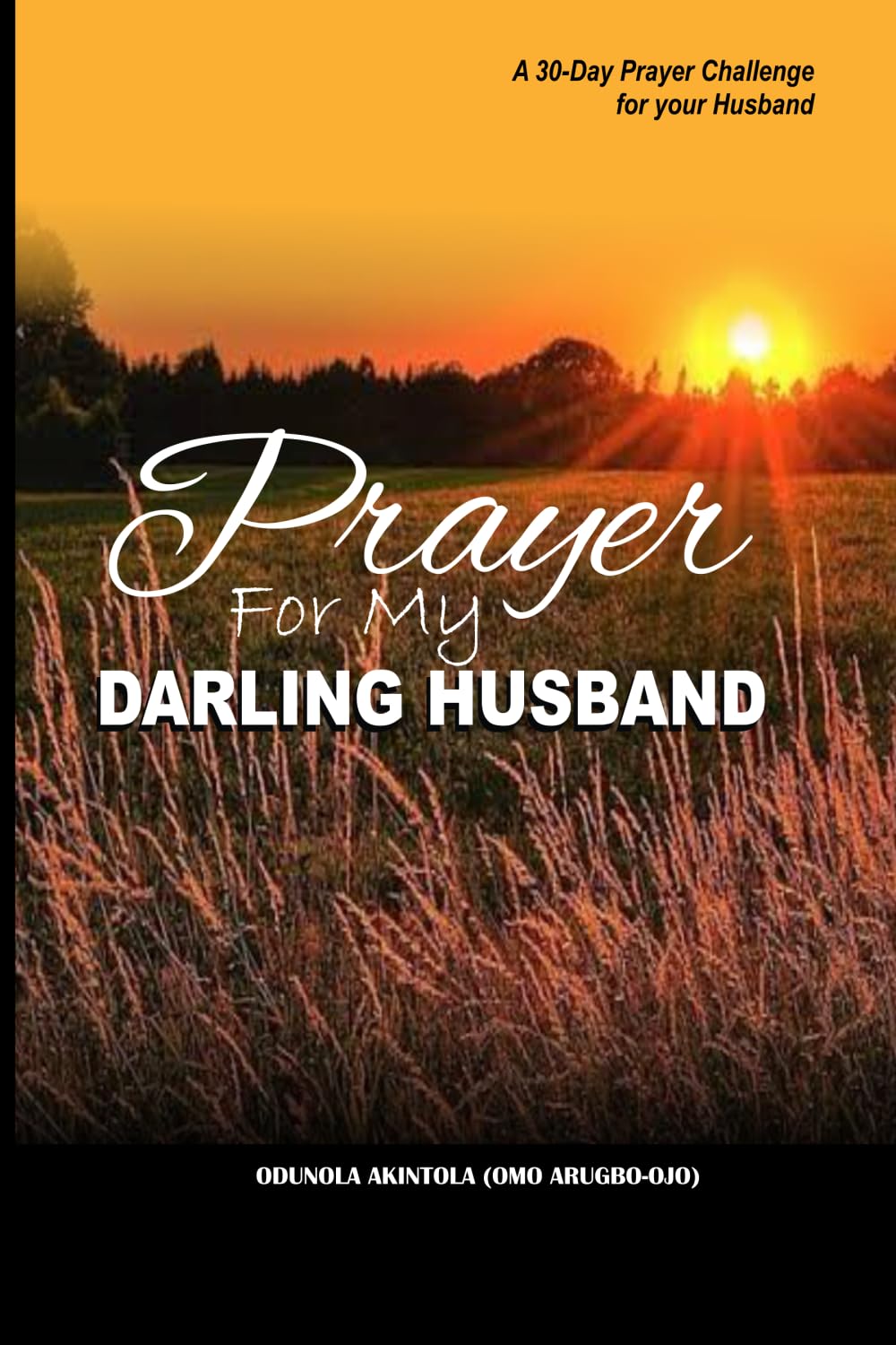Prayer For My Darling Husband: A 30-day Prayer Challenge for your Husband