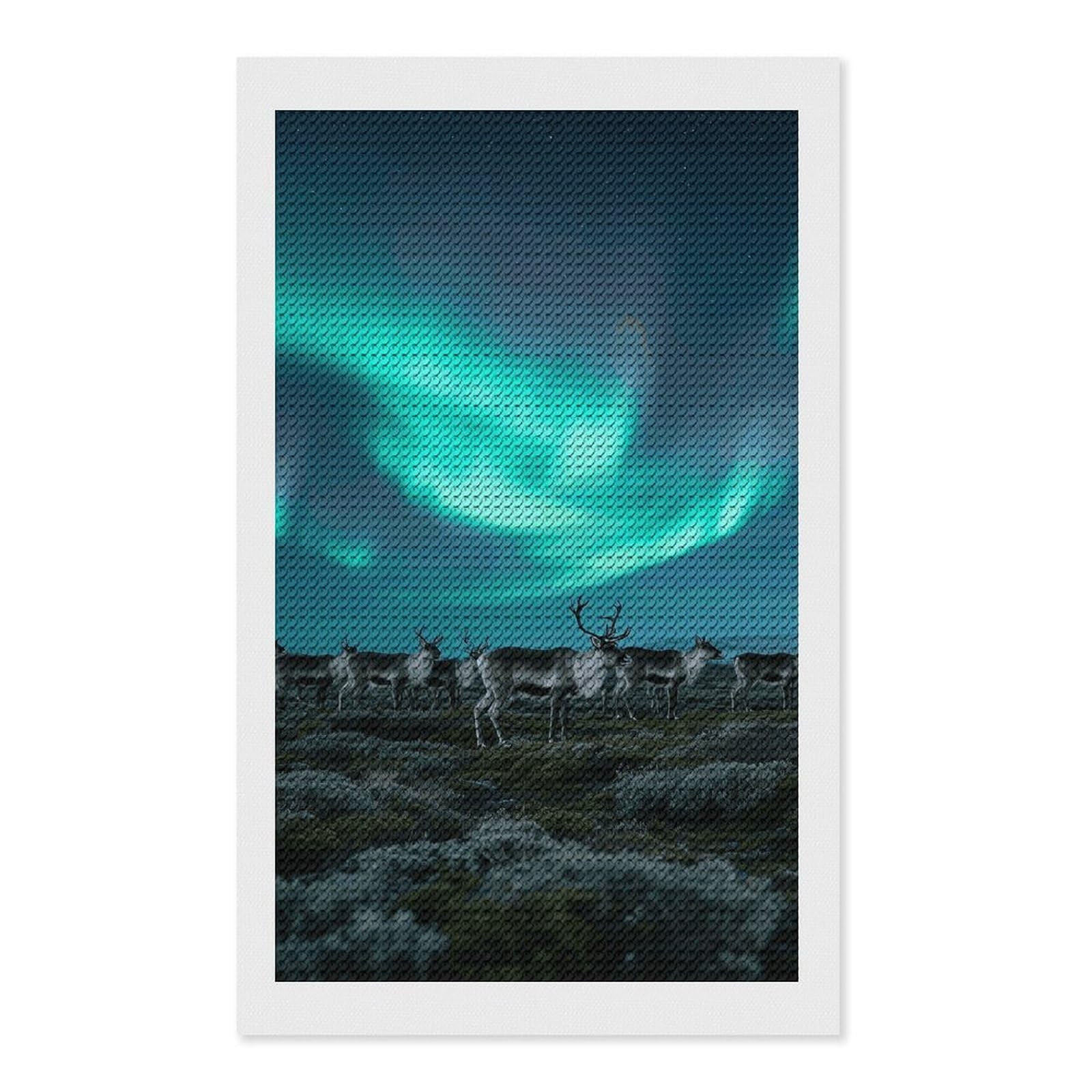 FodPand Reindeer_Aurora 5D Diamond Painting Kits for Adults Beginners Full Drill Round Diamond Dots Pictures Gem Art Supplies for Home Wall Room Decoration DIY Craft Set Gift 12x20