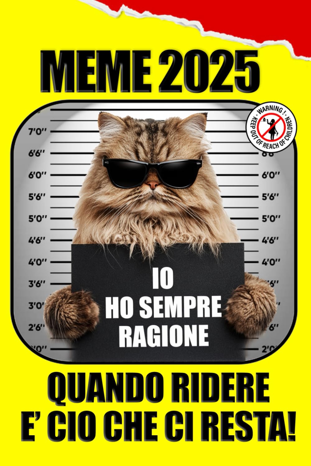 meme 2025 (i migliori pov e meme del 2025): ridi a crepapelle con gli amici o mentre fai la cacca