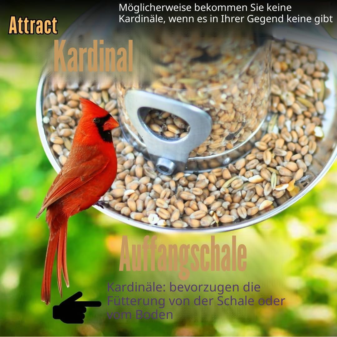PROVIDE Große Edelstahl Vogelfutterstation mit Tablett Garten Vogelfutterspender Vogelfutterspender für kleine Vögel Metall Wildvogel Futterspender Hängende Vogelfutterstation für Samen