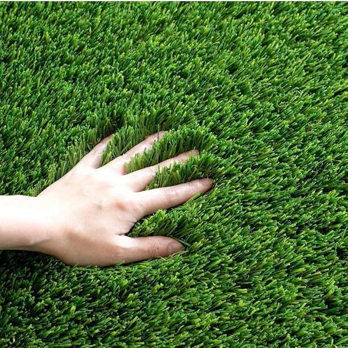 Mexican Lawn Grass Seeds, 10000 Seeds Pack, 25 Days Germination (Mexican lawn grass seeds for home gardening || lawn grass for mexican 1000% germination withing 25 days pack of 20000)-image-18