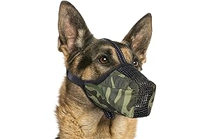 Dog Muzzle: The Ultimate Solution for Mouth Off Mutts