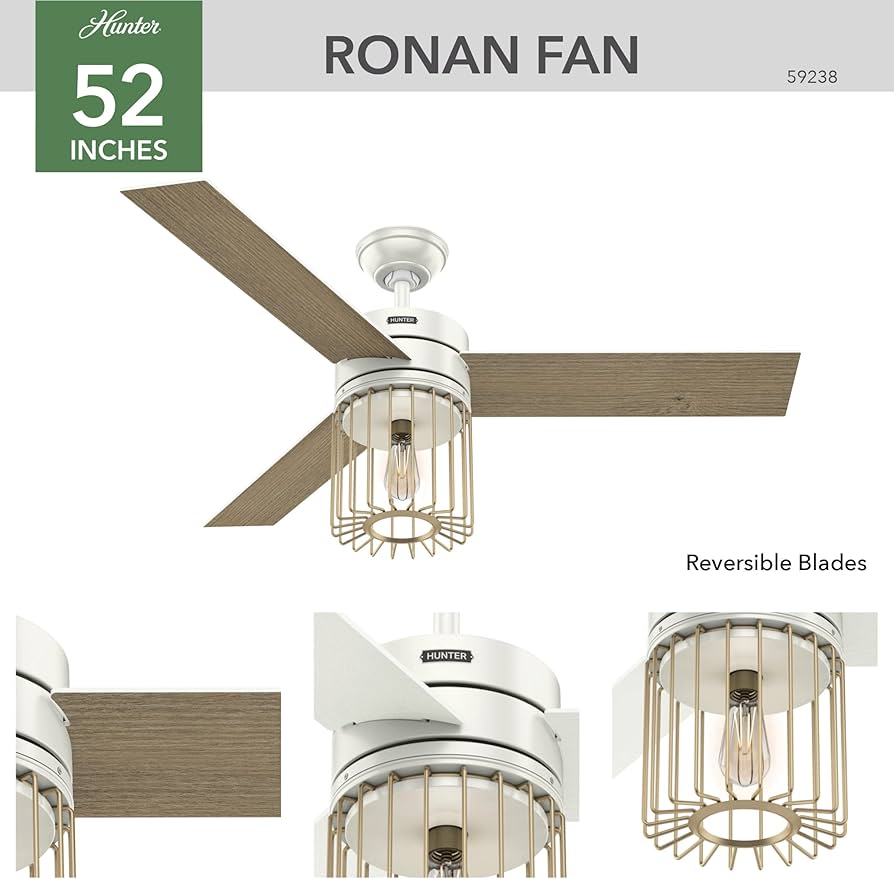 715xMxOWd3L._AC_UF894,