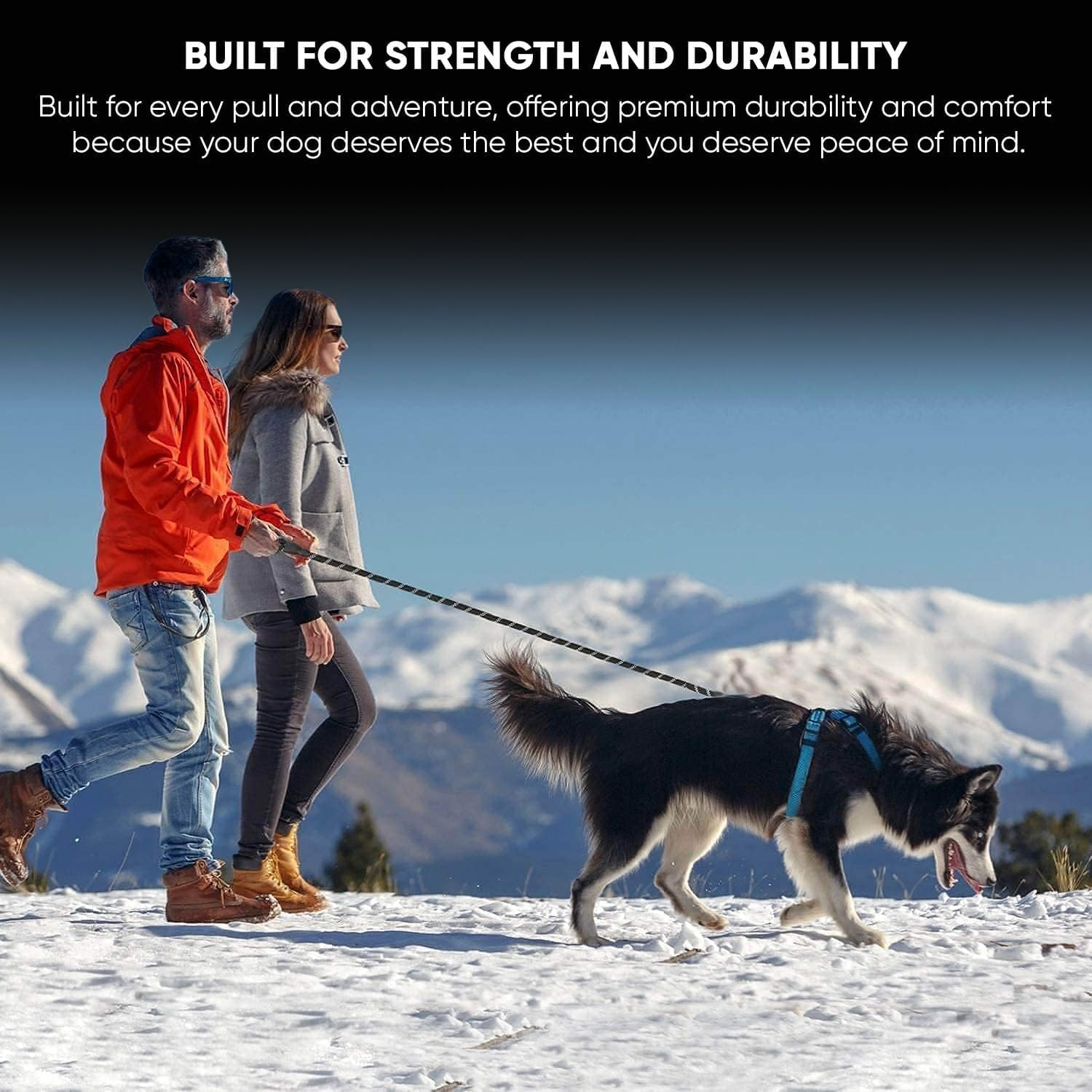 Guinzaglio per cani resistente, 1,5 m, con manico imbottito e corda riflettente, per tutti i cani, resistente, con chiusura in metallo resistente, per passeggiate notturne, corsa, escursionismo