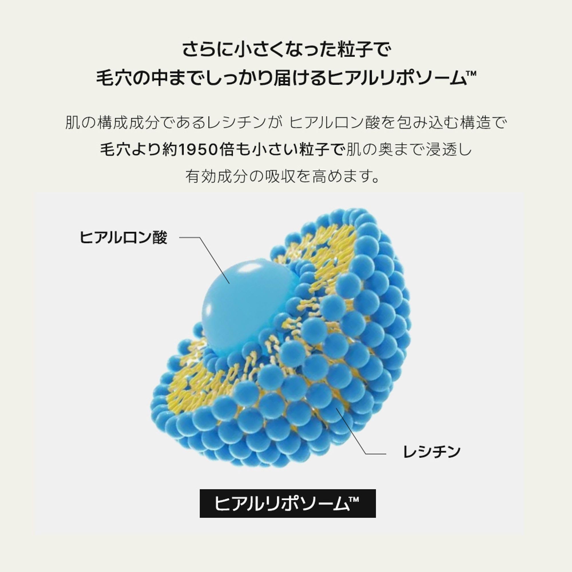 Amazon | ANUA(アヌア) 8ヒアルロン酸リポソームスキンブースター150ml