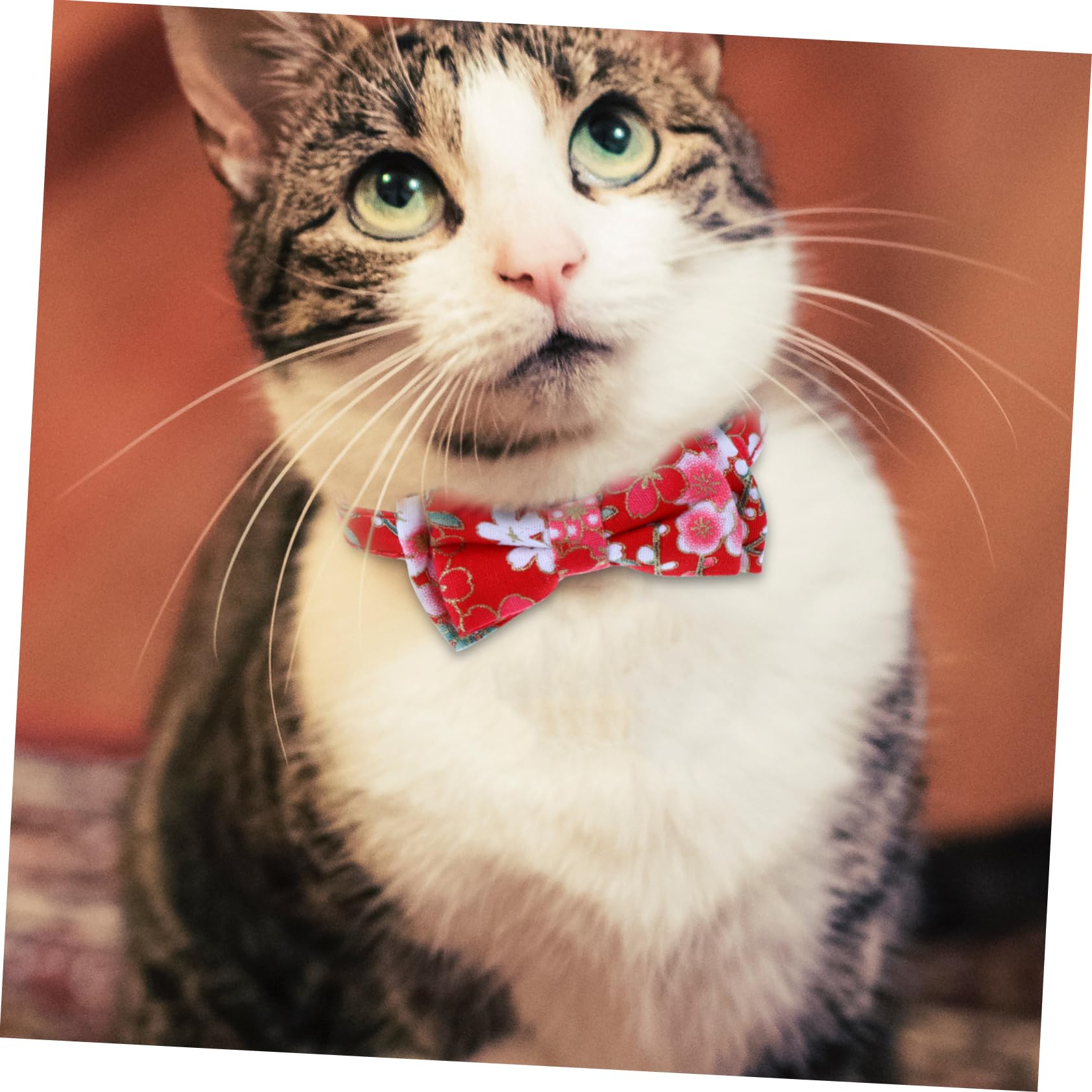 SUPVOX 9 Pz Collare Per Gatti Domestici Cravatta Floreale Gattino Graziosi Collari Per Cani Elastici Per Con Fiocco Per Cucciolo Cintura Per Gatti Stoffa Gatto Domestico
