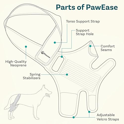 Miniatura 3 de Rodillera de perro para pierna trasera de acl desgarrado, soporte para piernas de perro para pierna trasera, tamaño grande, soporte para acl de