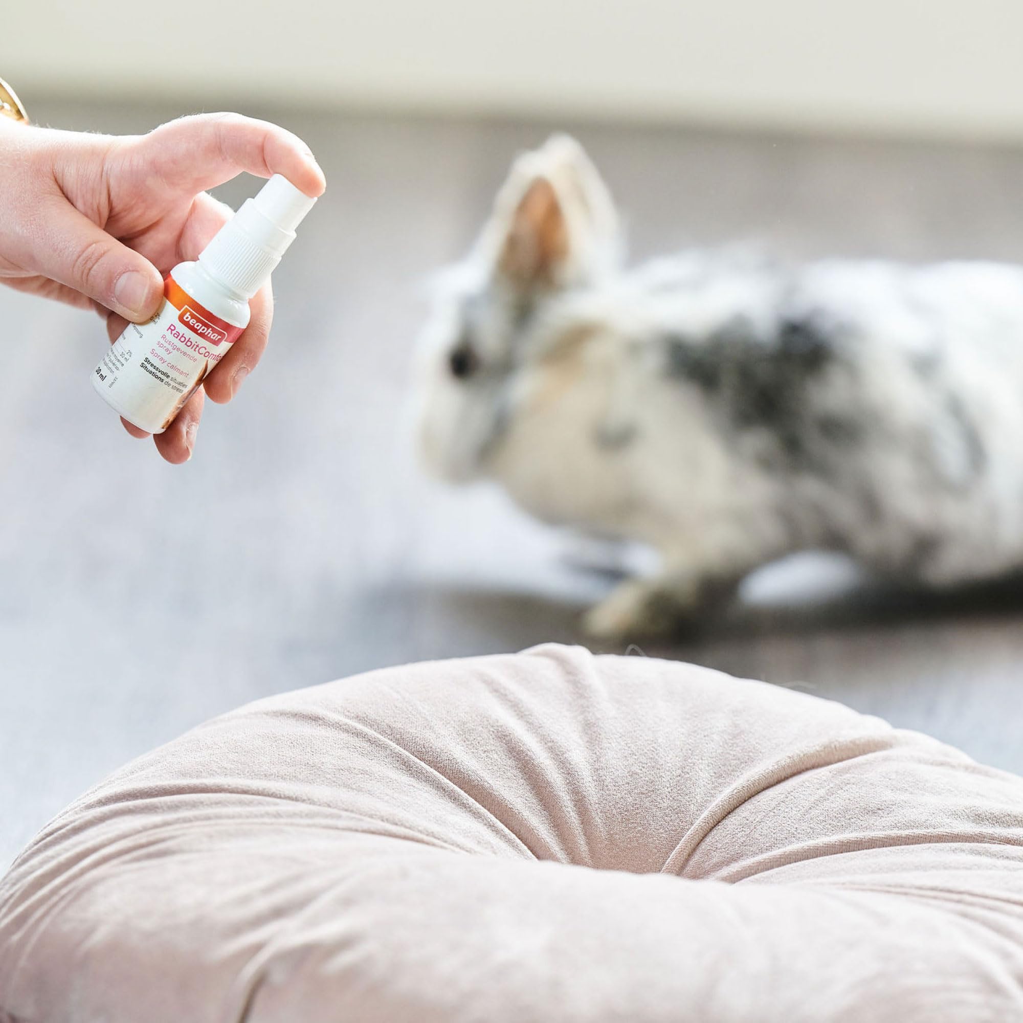 Beaphar - RabbitComfort® Spray calmante - Riduce l'ansia e lo stress in aree mirate - Per l'uso in casa o in gabbie - Azione rapida - Inizia a lavorare in 15 minuti - 30ml