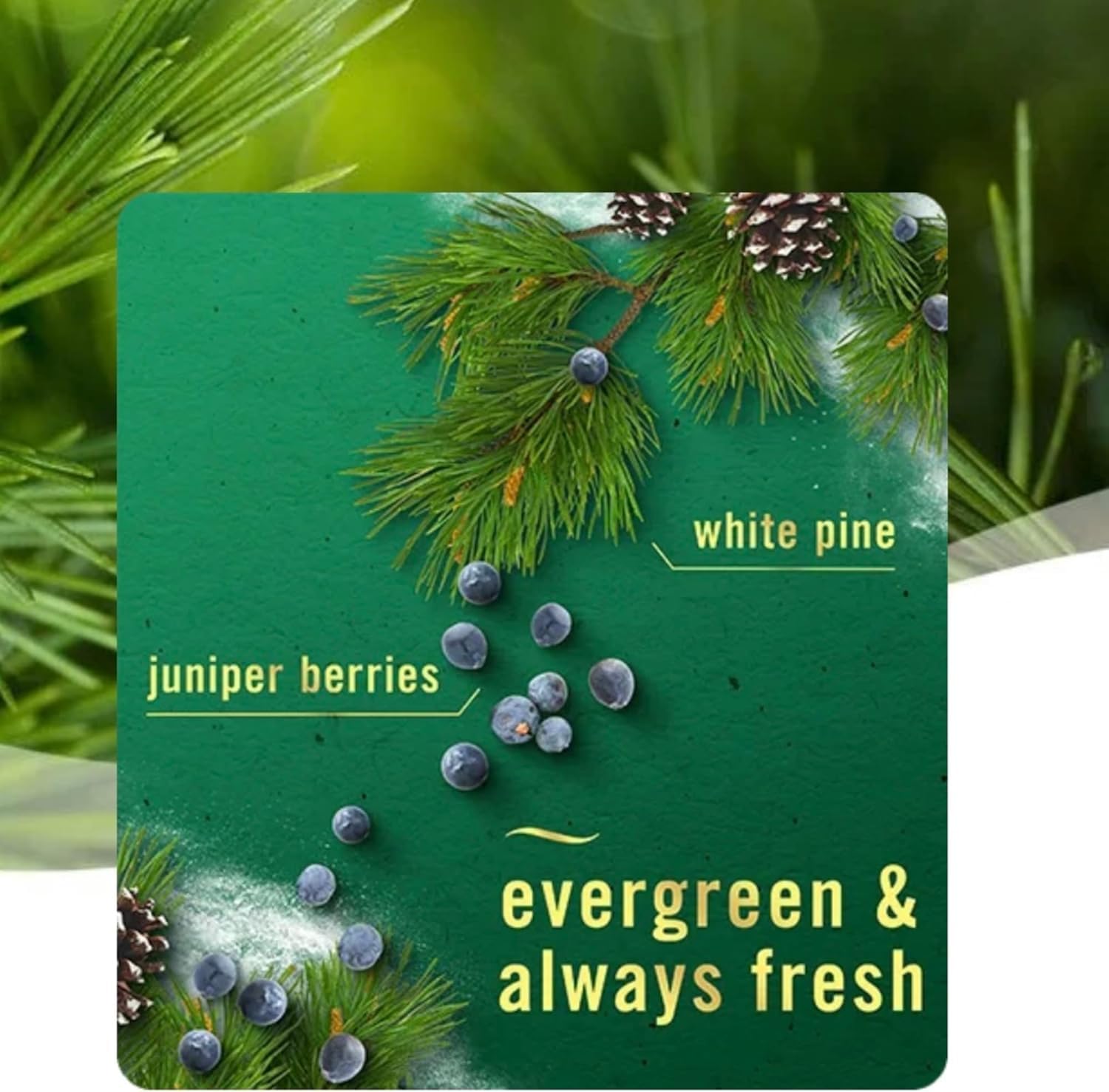 Febreeze Holiday Mix, Luxe Variety Pack Limited Edition Plug in Fall & Winter Scented, (3) of 0.87 fl oz Refills (Cranberry Crumble, White Pine & Juniper berry, Baked Cinnamon Apples)