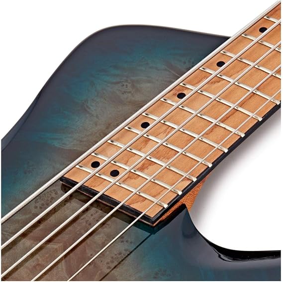 Electric Bass Guitar, Upgrade 5 String Fanned Fret Blue Burst Electric Bass Guitar, Basswood Body, Roasted Maple Neck Fingerboard