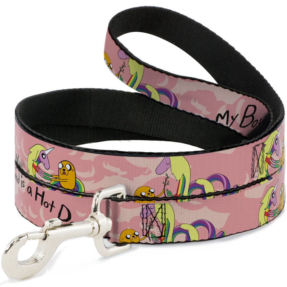 Laisse pour chien Buckle Down Jake/Lady Raincorn de 6 pieds et large sangle en nylon pour animaux