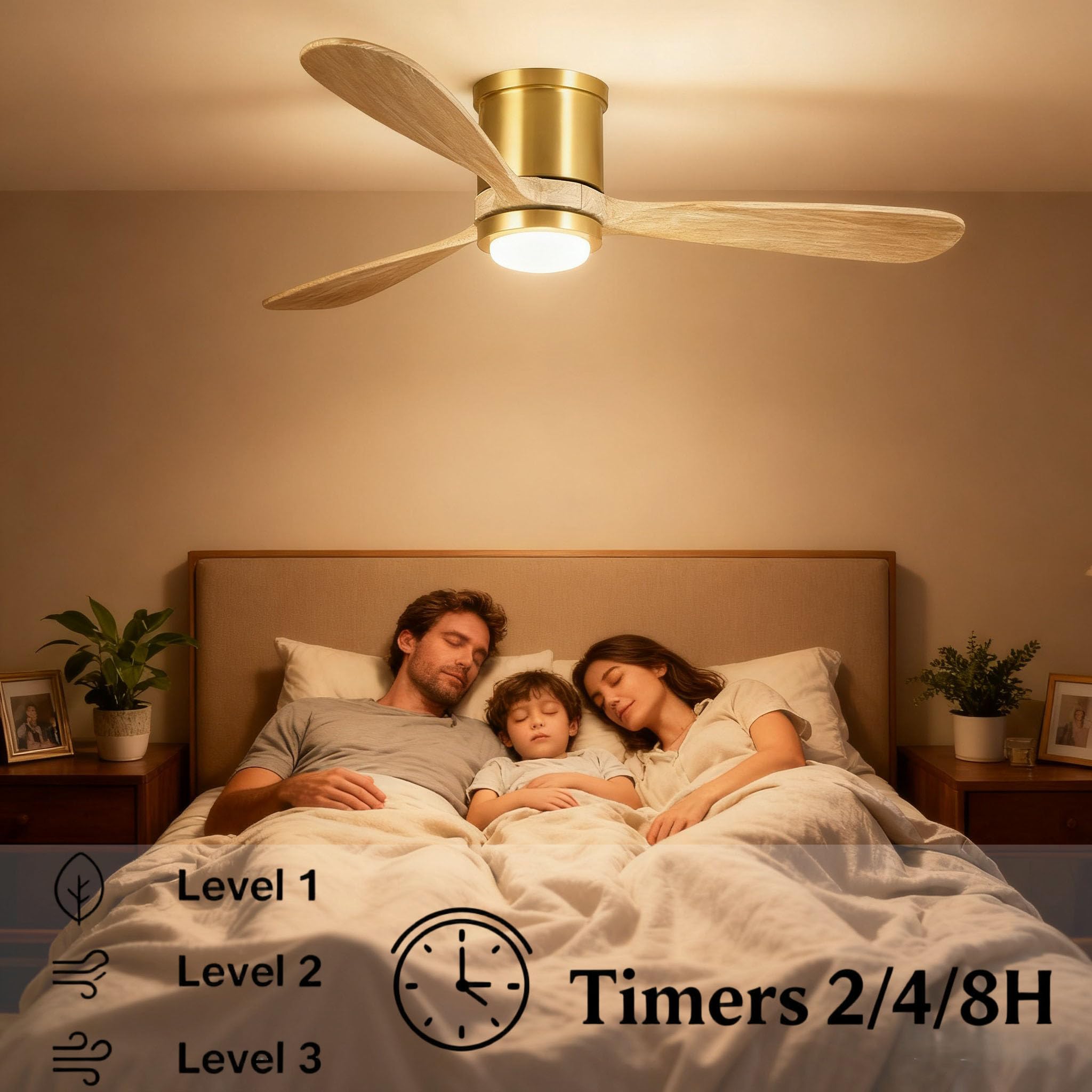 https://m.media-amazon.com/images/I/715xcjAhfJL.jpg