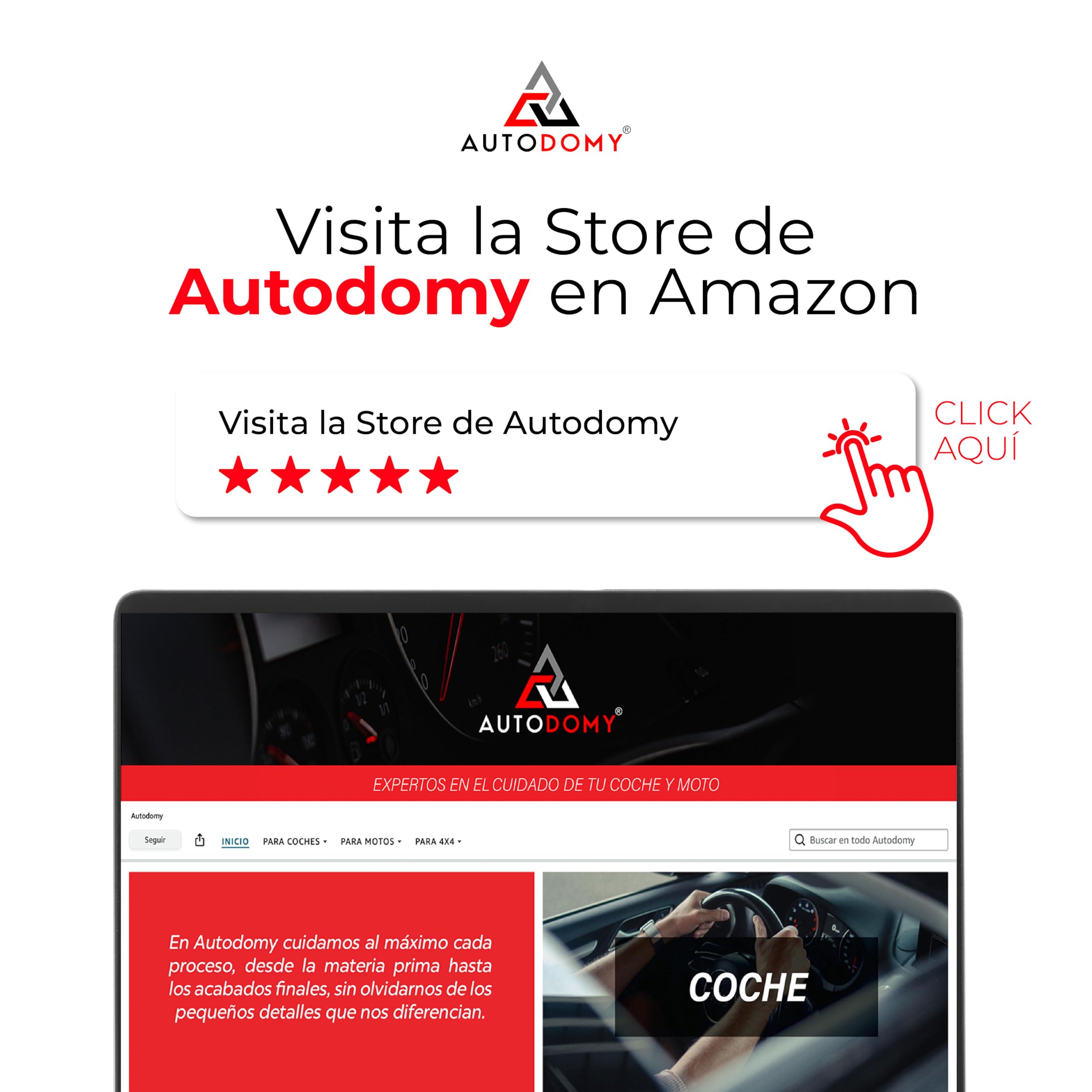 Autodomy AEOL Manual Permiso D-D1 Autobús Actualizado 2026