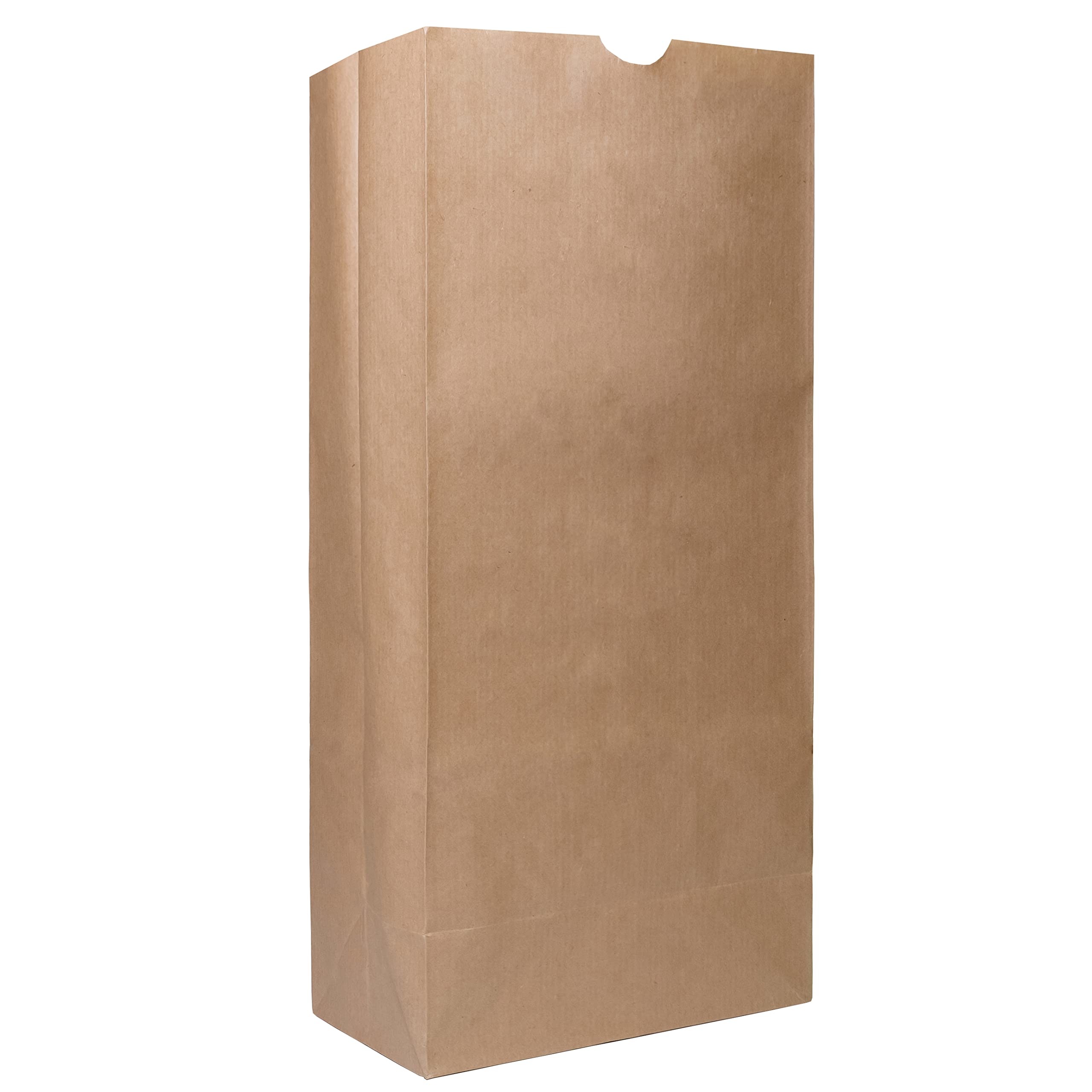 EcoQuality 1000 Brown Kraft Paper Bag (25 lb) Large - Paper Lunch Bags, Snacks, Gift Bags, Grocery, Merchandise, Party Bags,To Go, Carry Out, Recyclable (8 1/4 x 5 1/4 x 18 inches) (25 Pound Capacity)