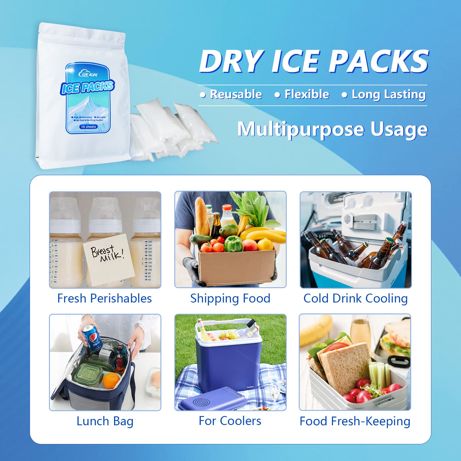 Buy Dry Ice for Shipping Frozen Food Dry Ice Pack for Shipping Dry