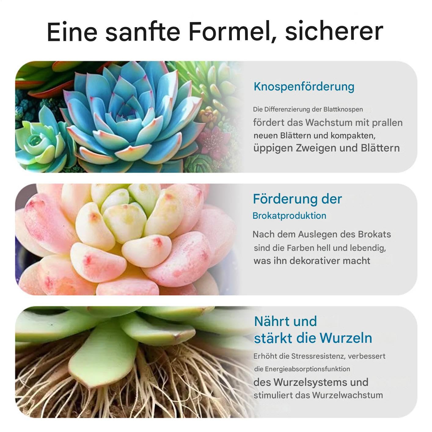 Kakteen Dünger | Luftpflanzen Dünger,100ml Sprungkraft Booster Langzeit-Spray Für Wachstum & Vermehrung Bei Topfpflanzen Innen & Außen