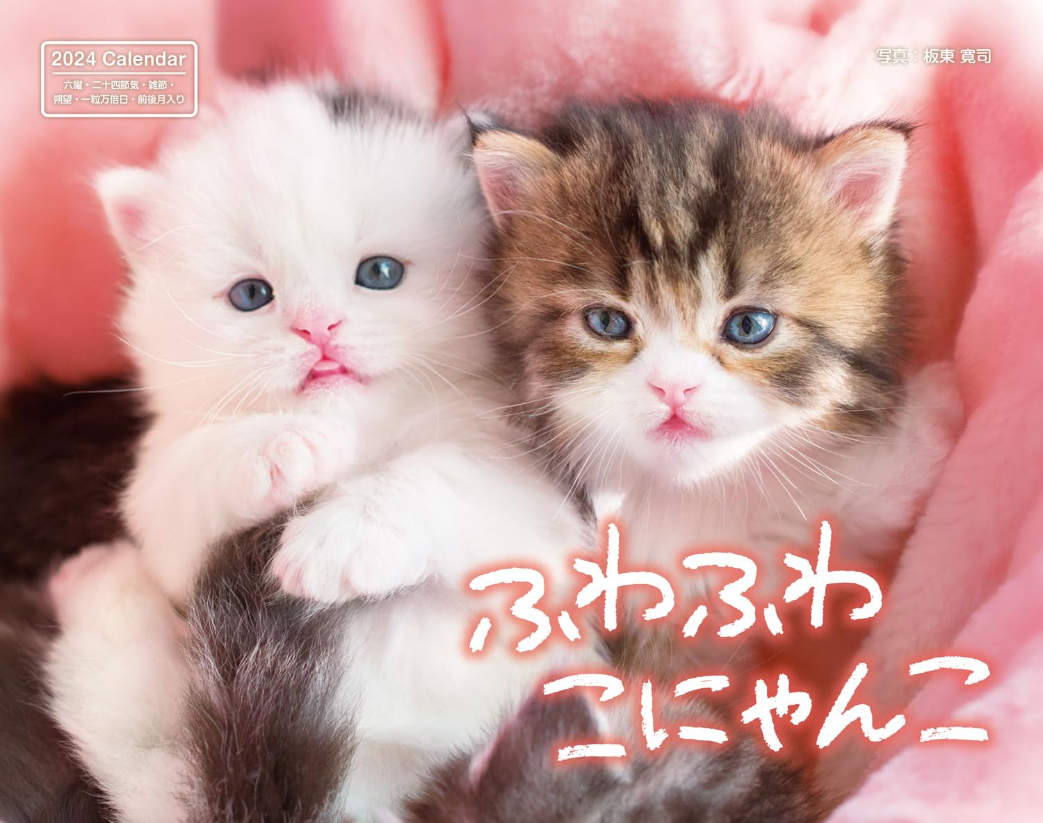 ☆ にゃんこつになります☆ 715xoWH7YiL.jpg