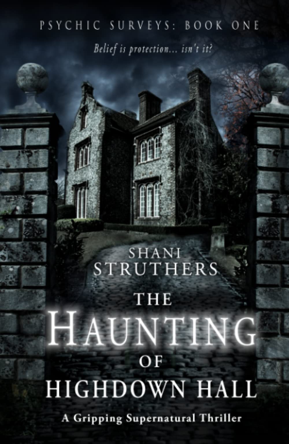 Psychic Surveys Book One: The Haunting of Highdown Hall