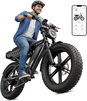 Electric Bike for Adults, Peak 1500W Motor Retro E Bike, Range 65/120Miles, 48V 15Ah Removable Battery, 20"x4" Fat Tires, Full Suspension, APP Control, Off-Road Ebike for City Commuting
