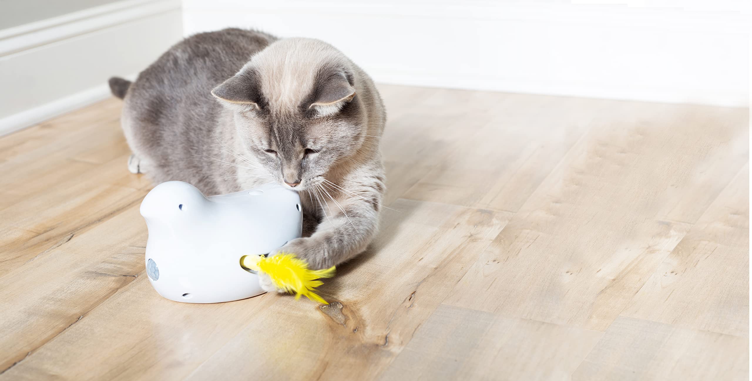 PetSafe Jouet électronique pour Chat Peek-a-Bird avec Plumes, avec capteur de Mouvement et minuterie de 10 Minutes, 3 Piles AA nécessaires, Blanc