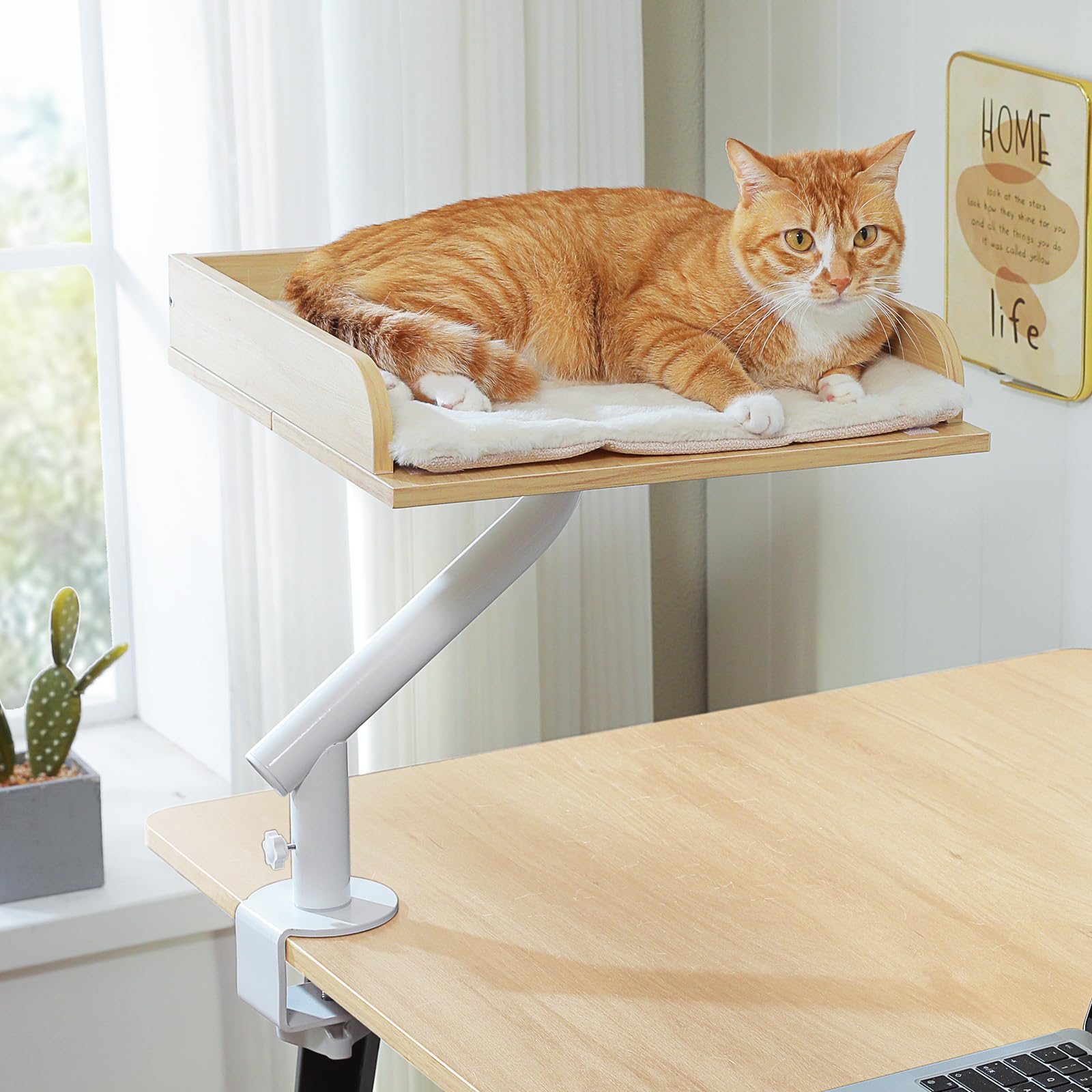 PAWZ Road Cama para gatos para escritorio, cama de madera para gatos, cesta para gatos, cesta para gatos giratoria 360° y altura ajustable, hamaca para gatos, para rascar, cama para gatos, soporta