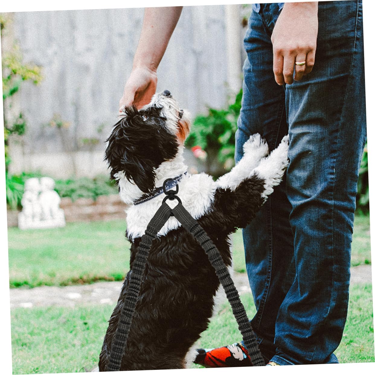 BESPORTBLE Confezione Da 3 Corde Di Trazione Per Famiglie - Guinzaglio Per Cani Con Catarifrangenti Di Sicurezza - Perfetto Per Passeggiate Allaperto in Casa E Con Animali Domestici