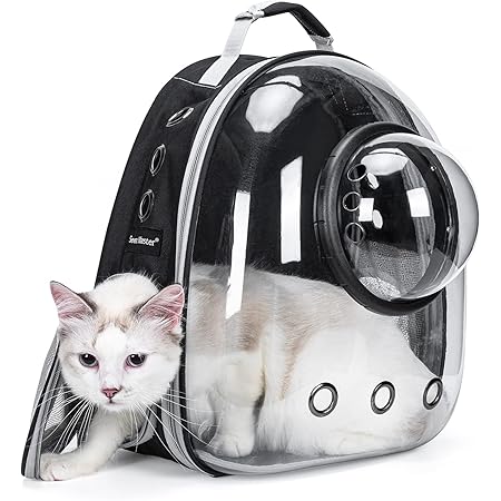 clear bubble backpack
