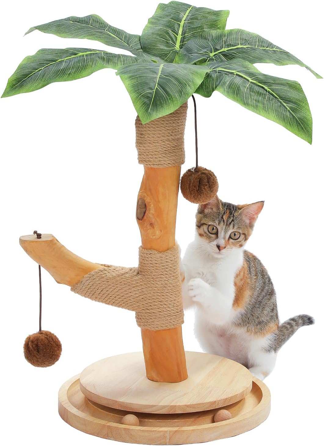 PAWZ Road Cat Scratching Post for Indoor Cats, Palm Tree Cat Scratcher with Natural Wood Scratching Post, Cute Cat Scratch Post with Interactive Track Ball Toy and 2 Hanging Balls, 44cm