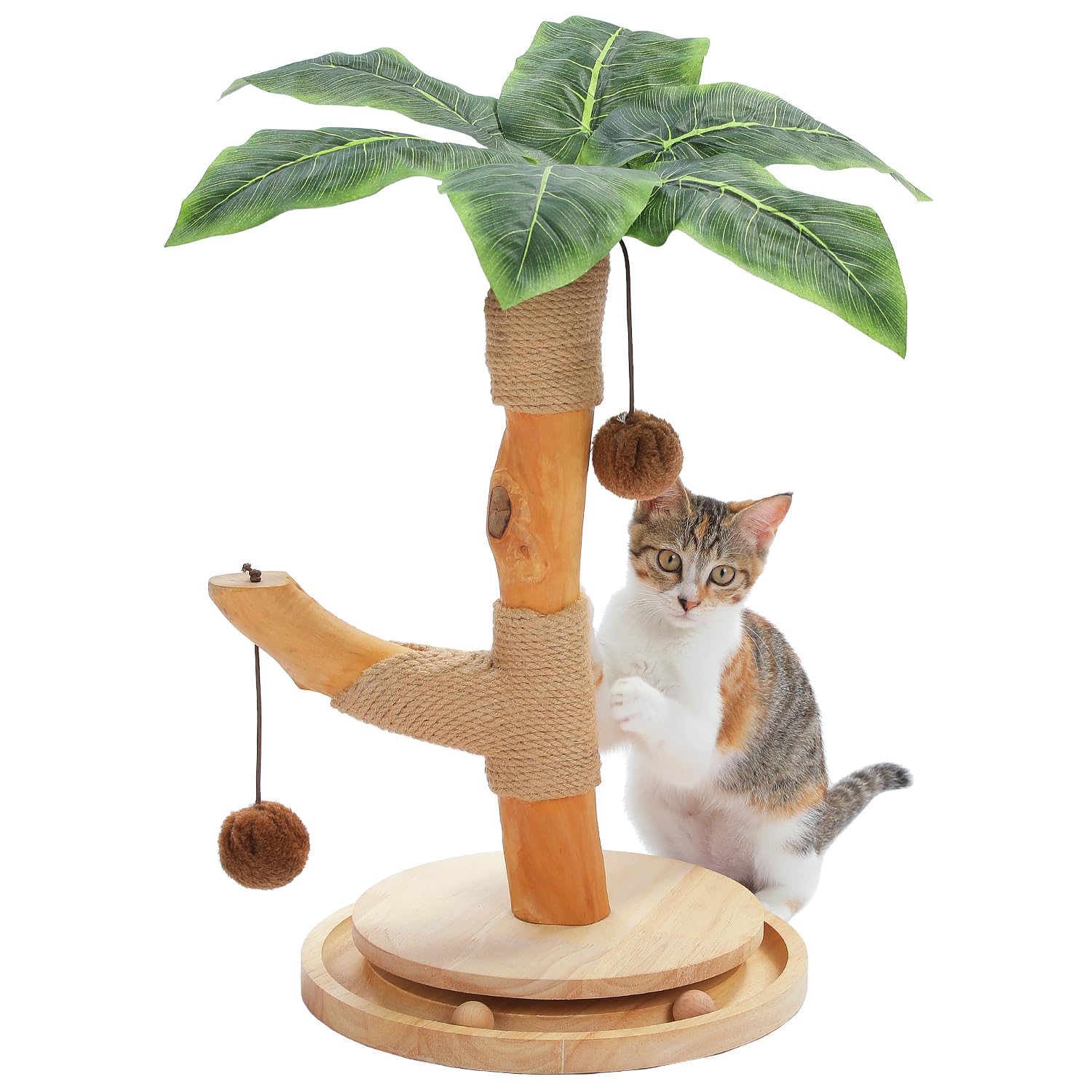 PAWZ Road Katzenkratzbaum Palme für Katzen – Kratzsäule aus Naturholz mit interaktivem Balltrack & 2 Spielbällen, Stabiler Katzenkratzstamm, Terracotta, 44 cm