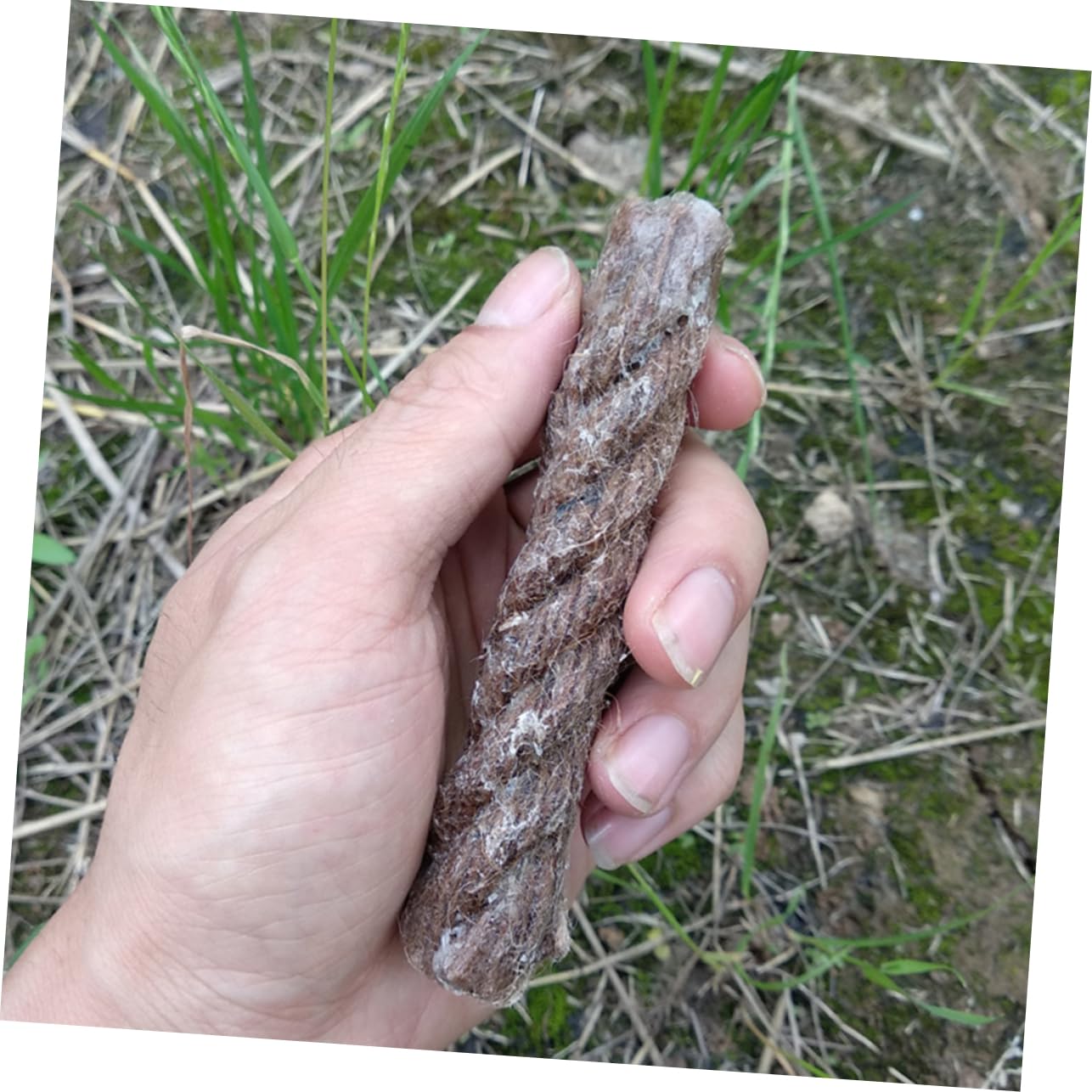 LALAFINA Cotton Core Waxed Cord 4 Pack of Wick Candle Wicks Waterproof Windproof for Outdoor Survival