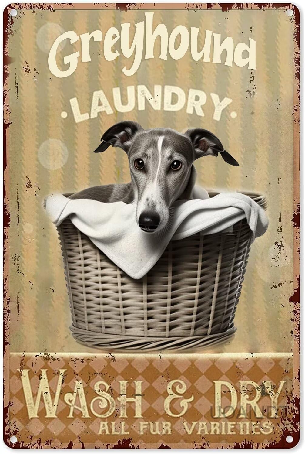 Fupaxn Colour-1526 Laundry Room Greyhound Laundry Wash Dry Retro Metal Tin Sign Poster Plaque For Garage Bar Courtyard Club Farm Bathroom Wall Decor 8X12inch