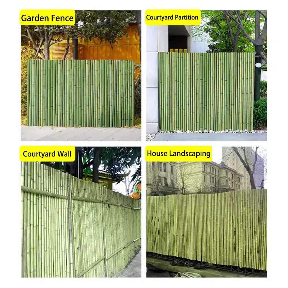 Bambus-Sichtschutz-Zaunblende fr Garten, Pool, Terrasse, 1 x 2 m, grn,  dekorativer Rollschirm mit natrlichem Bambus-Material fr Privatsphre und  Dekoration im Freien : Amazon.de: Garten