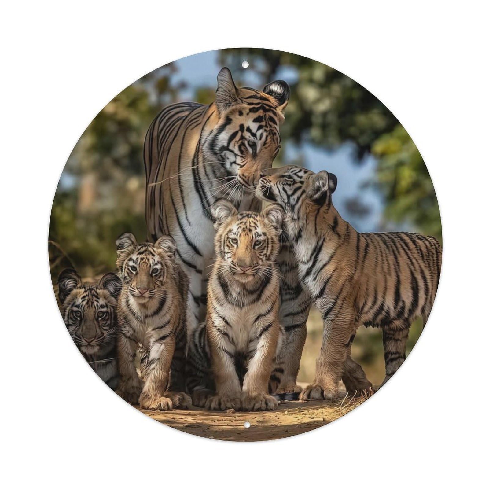 Jungle Tiger Family Cubs Habitat Poster Metal Tin Sign