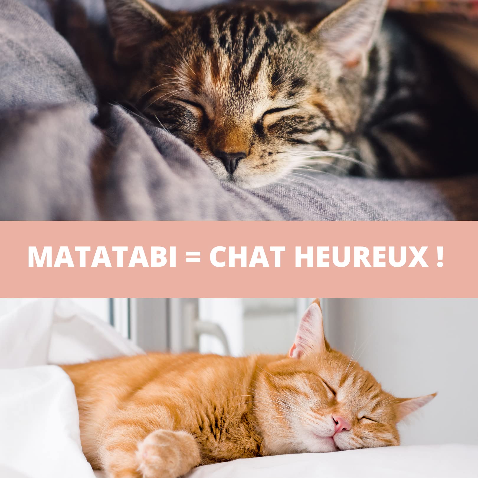 Croc-Cat® Baton Matatabi 10 pièces, Qualité Premium Super Puissant, Dentifrice Chat, Antistress Chat, friandises pour Chats, Bâtonnets Herbe à Chat,Chaton Accessoires Catnip