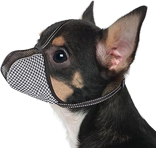 JOYPAWS Maulkorb für extra kleine Hunde, verhindert Beißen, Kauen & Bellen. Weiches, reflektierendes Air-Mesh, verstellbar, volle Abdeckung. Für Fellpflege & Schnitzen. Schwarz, XS product image