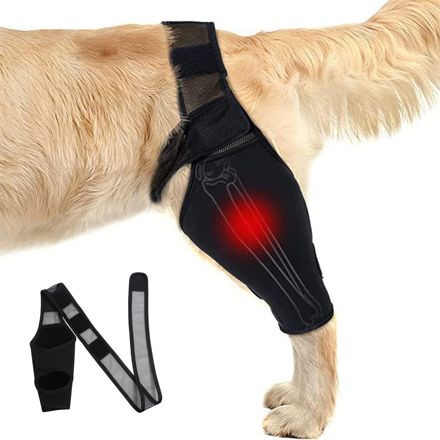 AZOJOY Dog Knee Brace Leg Braces for Support with Cruciate
