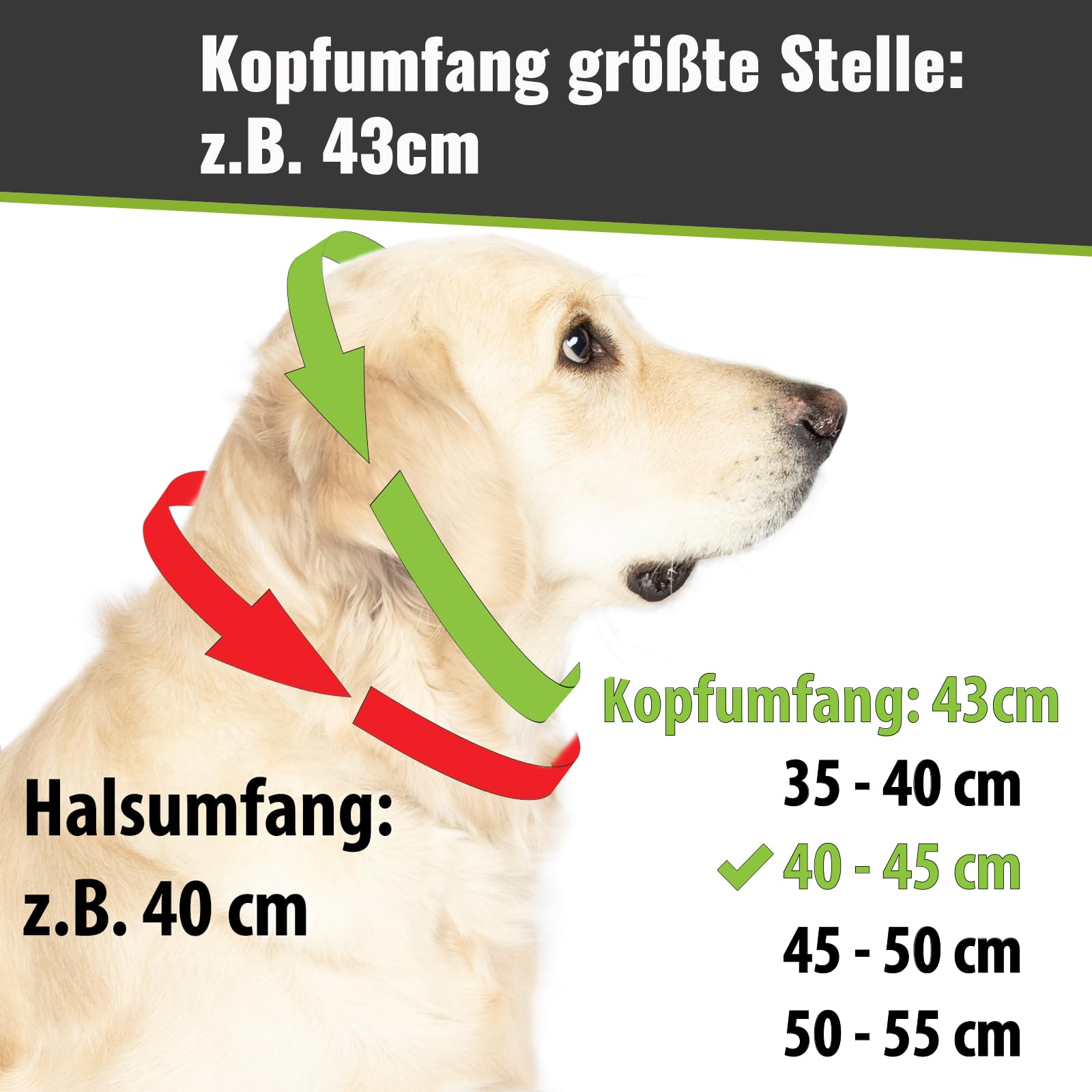 CopcoPet Hundehalsband Würger 55–60 cm x 25mm Braun – Geflochtenes Halsband mit Zugstopp & Messing Ring – Aus robustem Fettleder – Für große Hunde – Weiches Lederhalsband fürs Training