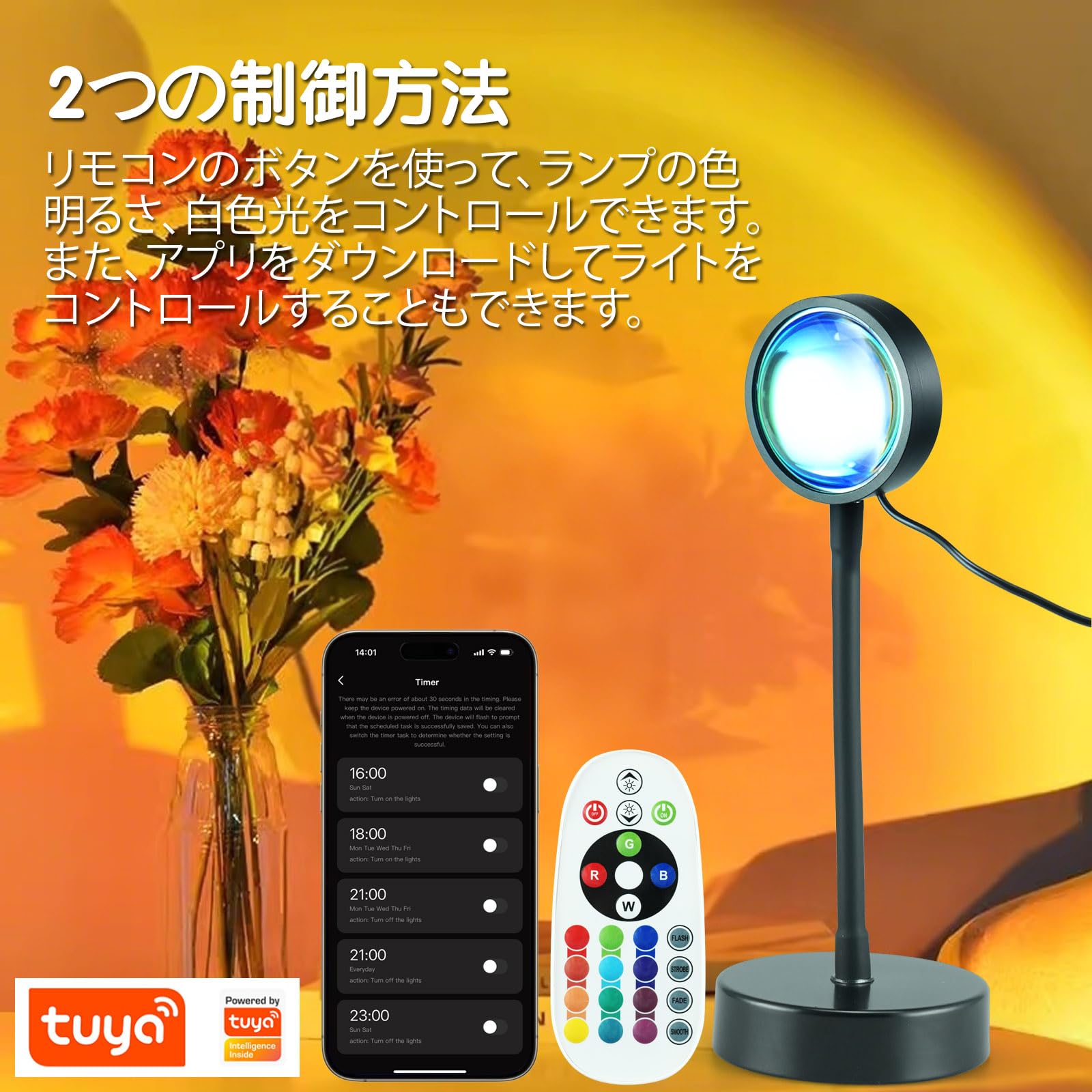Amazon.co.jp : サンセットライト レインボーサンセット