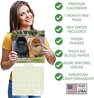 Vista 621 de Razas de Perros 2017