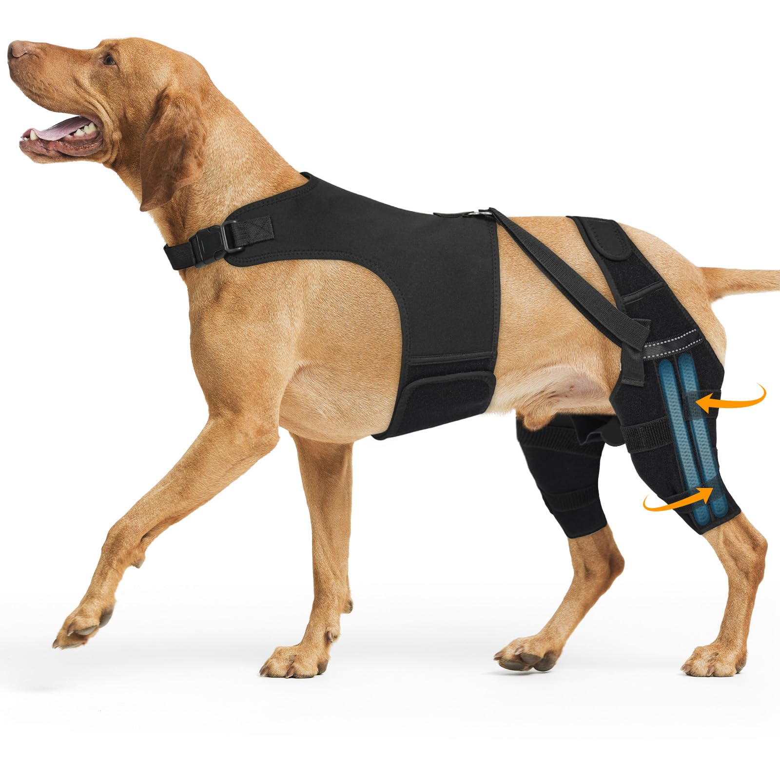 Photo 1 of Marnonsis Dog Knee Brace for Torn Acl Hind Leg, Adjustable for Back Leg with 4 Stabilizers, Reduces Pain, Ligament Injuries & Luxating Patella for Small Medium Large Dogs,(Solid Black-XL)