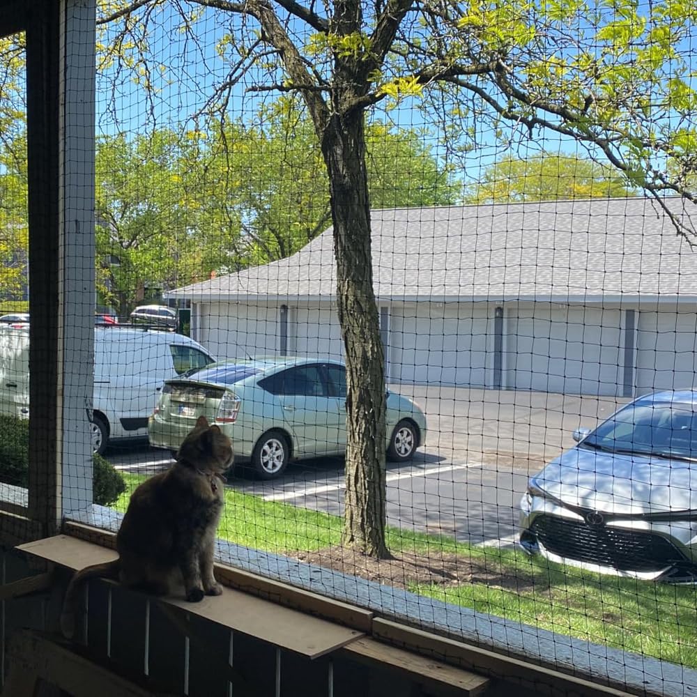 Red de malla para gatos de 10 x 26 pies, sin alambre de acero, red de seguridad anticaídas para gatos, pantalla de balcón para mascotas, red de catio, barrera de valla para gatos para