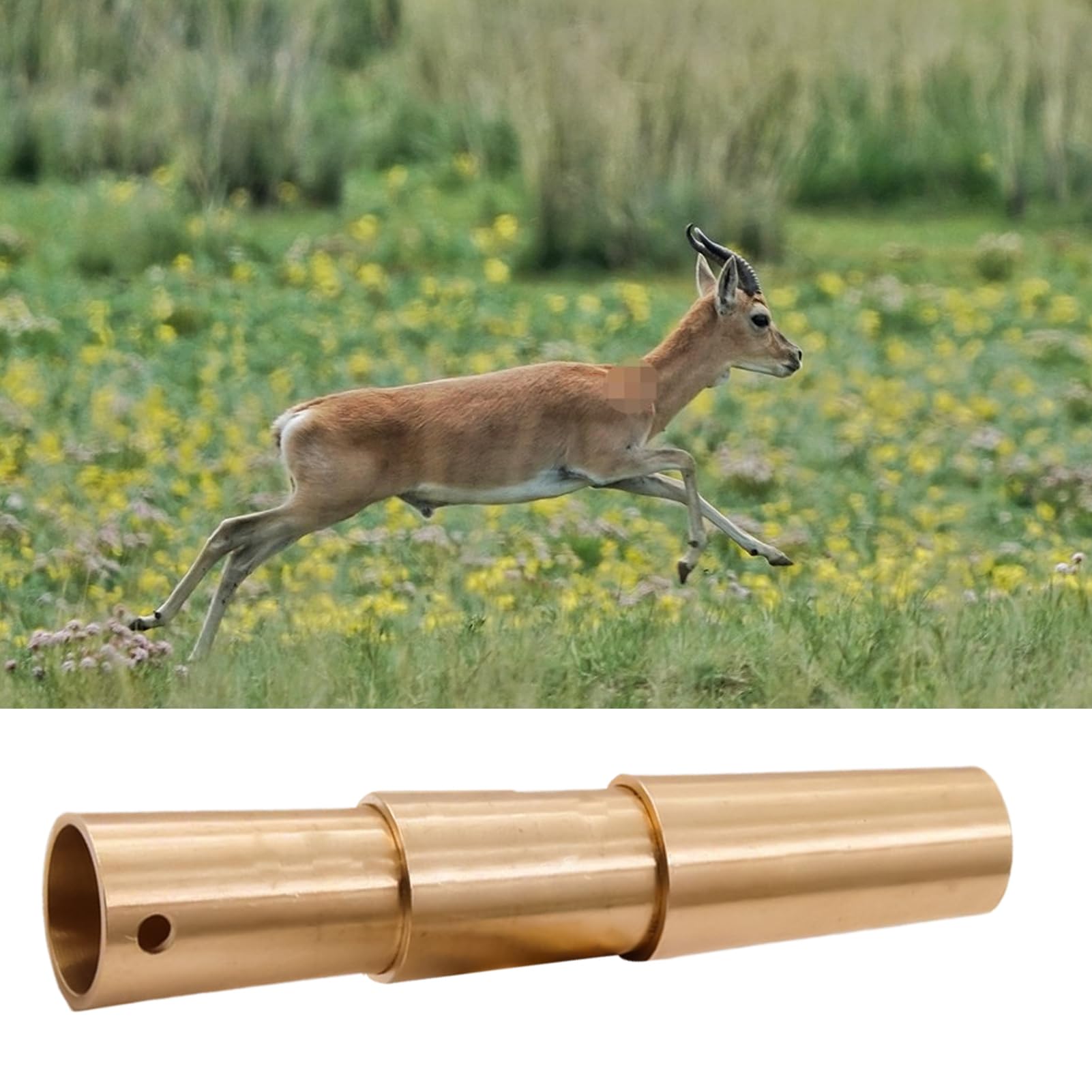 Hirschrufe für die Jagd, Hirschpfeife, Outdoor-Campingpfeife, tragbare Ausrüstung für Jagd, Wandern, Köder, Vogel, Eichhörnchen, Tier
