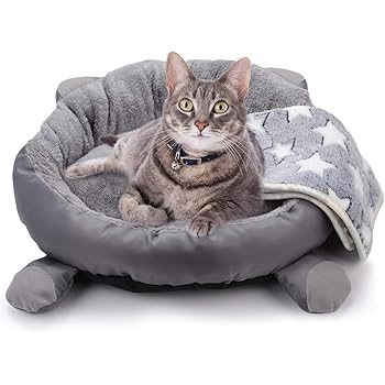 grey kitten bed