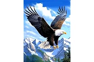 Eagle Diamond Painting Kits For Adults