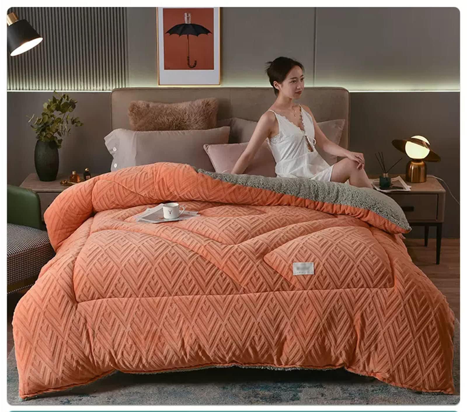 ZMIN Trapunta in Velluto di Flanella Super Calda Coperta Invernale Ponderata Trapunta in Pile A Doppia Faccia Addensata Calda Autunno Primavera Peluche Trapunta Core,B,220x240cm/5kg