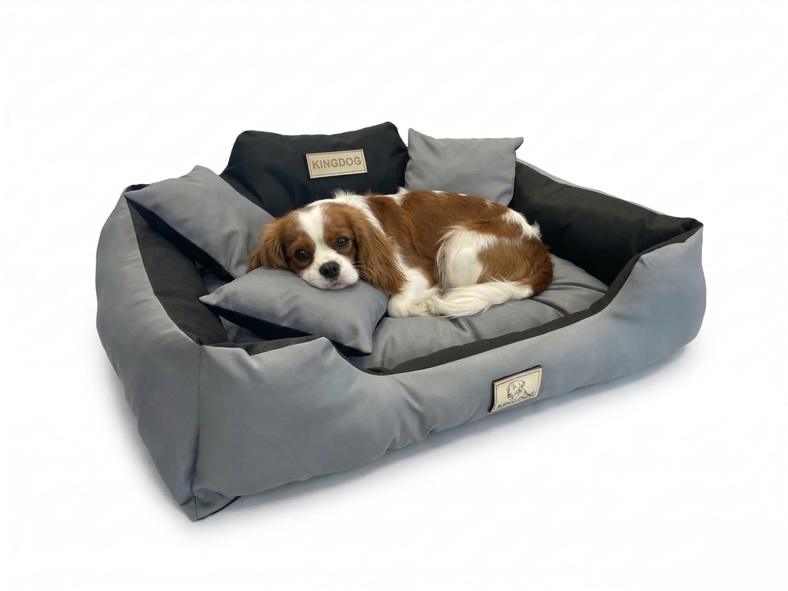 Codura Waterproof Dog Bed – Premium Silicone Fibre Fill Plush Cushion - Tear & Scratch Proof - Anti-Allergic Machine Washable - Handmade Polish Quality - Multiple Sizes & Colours -KING DOG