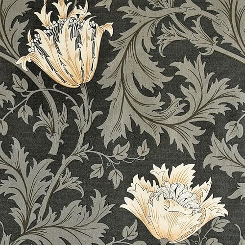 xXgEIuEX G{j[EXC[g All x[W/`R[O[ MO-4774 Rbgvgn