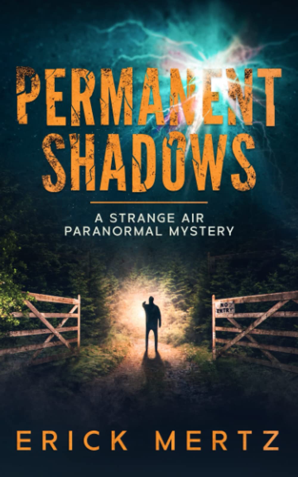 Permanent Shadows: A Strange Air Paranormal Mystery (The Strange Air)