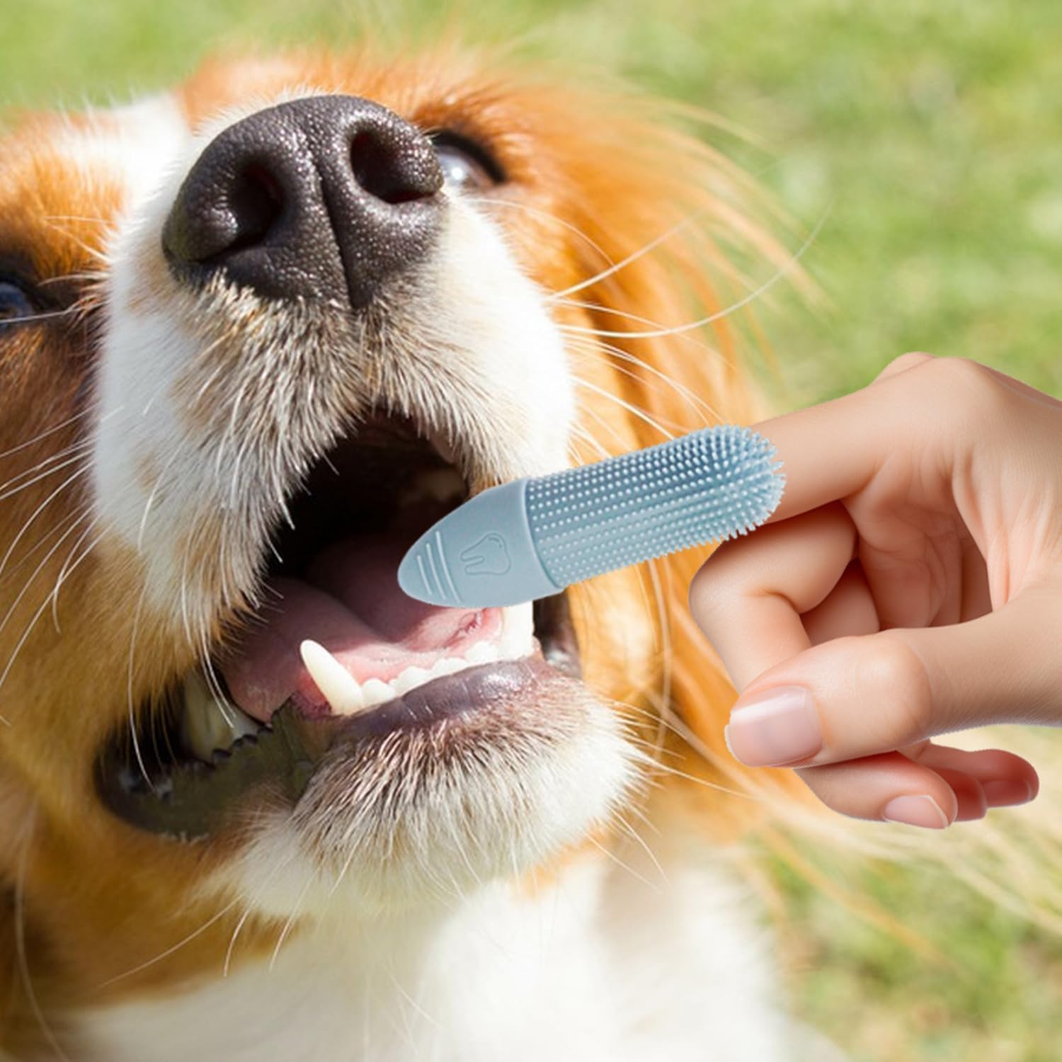 2Pcs Dog Finger Toothbrush, Puppy and Cat Teeth Cleaning for Dental Care Silicone Bristles Tooth Brushes - Image 2